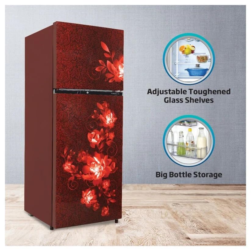 Voltas Beko RFF295D/W0CWR0I0000GD 250L 2 Star Frost Free Double Door Refrigerator Celin Wine